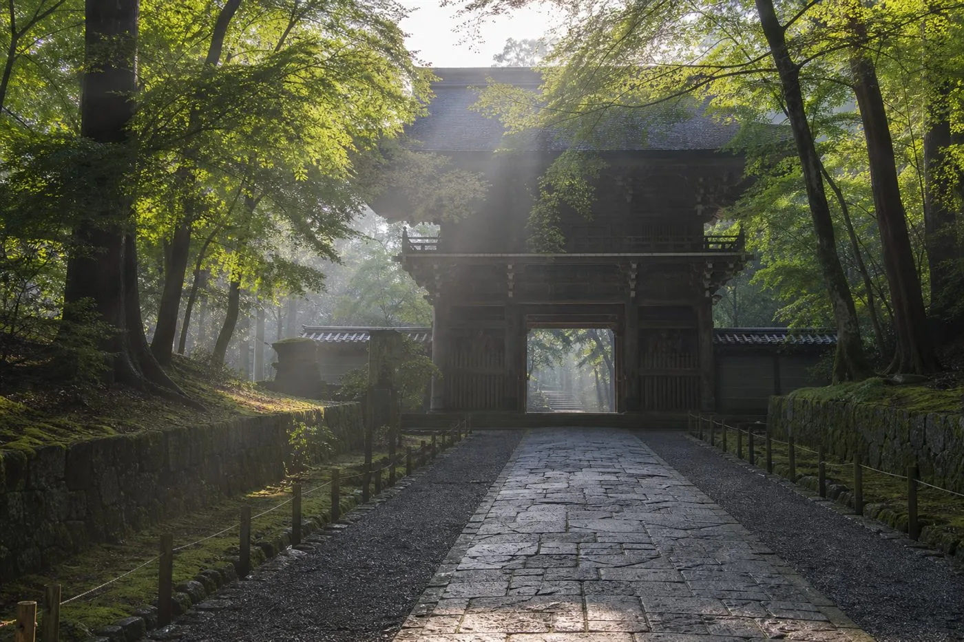 朝の光が差し込む静かな寺の参道