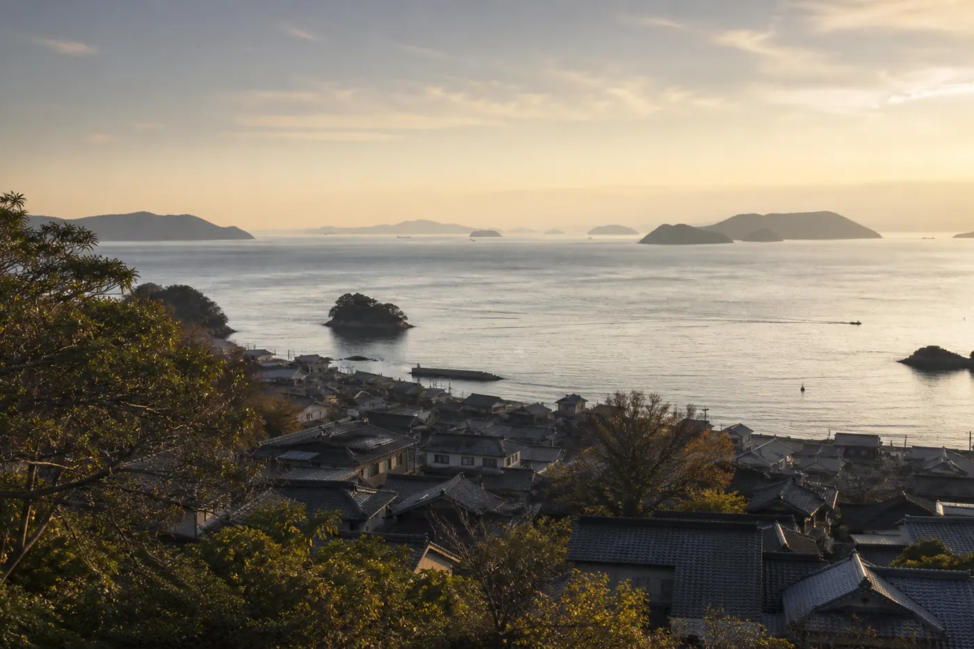 丘から見下ろす海沿いの町並みと瀬戸内の海